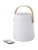Enceinte double sans fil lumineuse