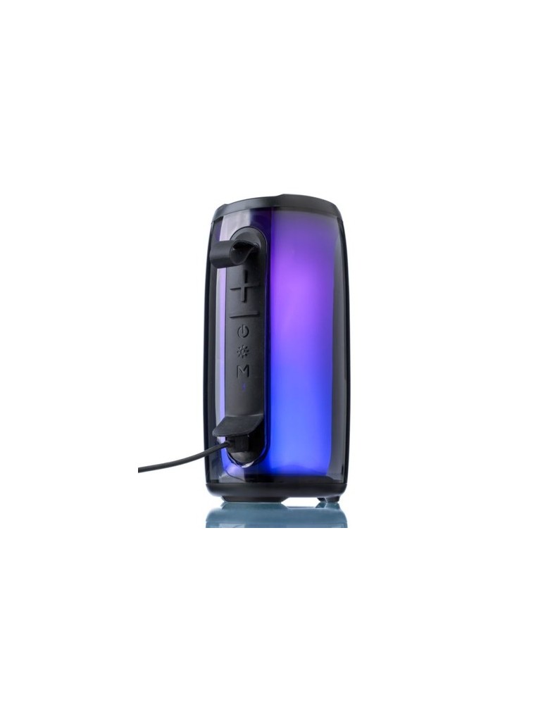 Enceinte sans fil d'extérieur en ABS Lynette