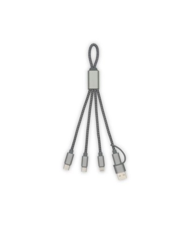 Brandcharger Trident 2 câble de chargement