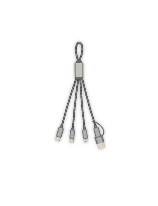 Brandcharger Trident 2 câble de chargement