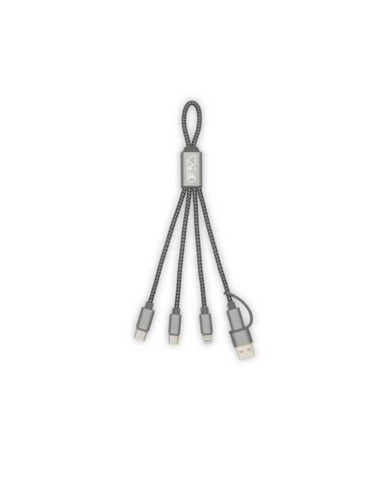 Brandcharger Trident 2 câble de chargement