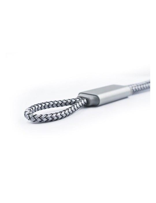 Brandcharger Trident 2 câble de chargement