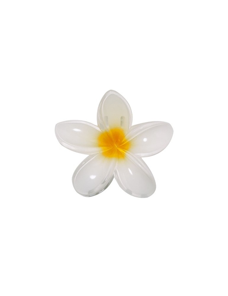 Pince à cheveux Tixcon