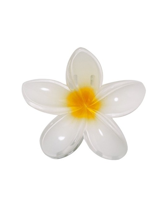 Pince à cheveux pratique Tixcon Couleurs : blanc