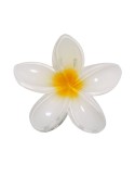 Pince à cheveux pratique Tixcon Couleurs : blanc