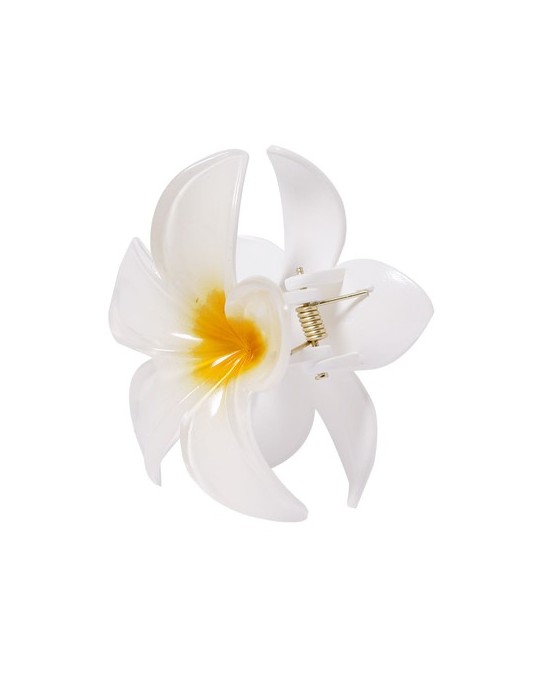 Pince à cheveux Tixcon