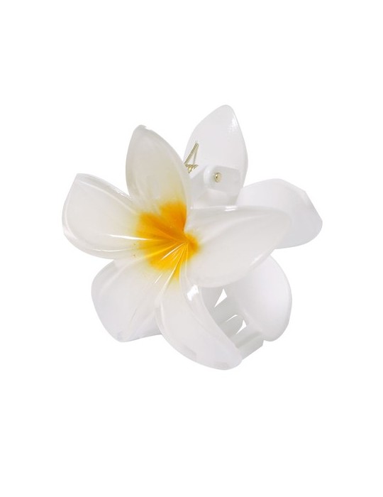 Pince à cheveux Tixcon