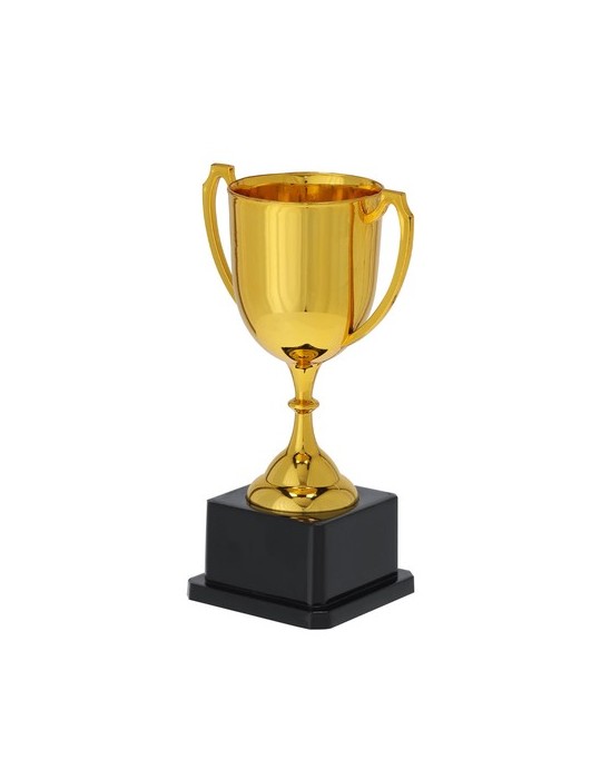 Coupe Nynor Personnalisé