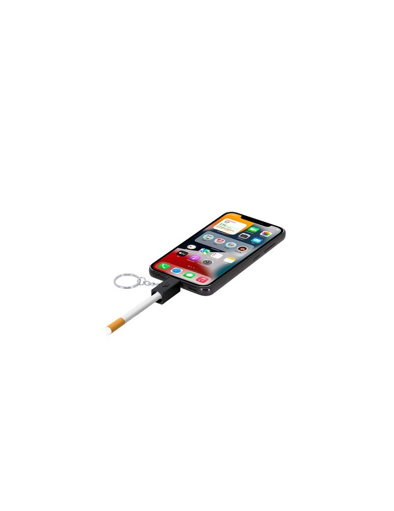 Briquet Électrique Personnalisé Porte-Clés Parris Matières : aluminium Couleurs : noir objet promotionnel éco-responsable