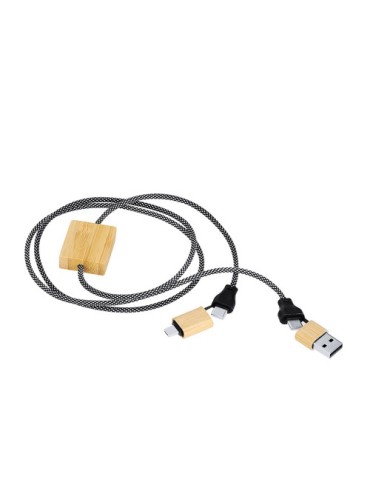 Câble de Charge Segers 2