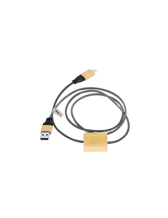 Câble de Charge Segers