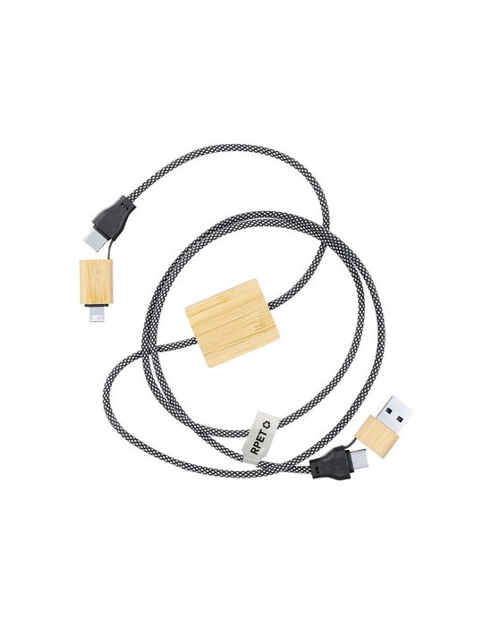 Câble de Charge Segers