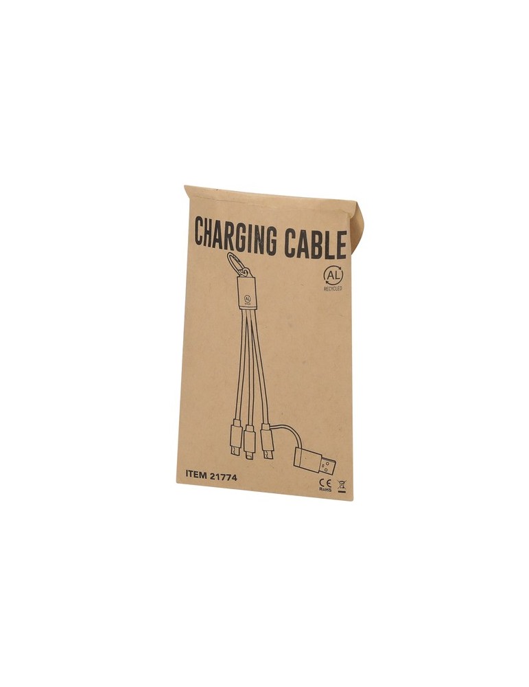 Câble de Charge Bikoc