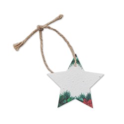 Décoration personnalisée  en Papier Semences - STARSEED 2