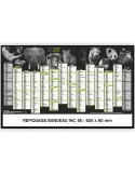 LES ESPÈCES PROTÉGÉES | Calendrier bancaire thématique 2026 Matières : carton