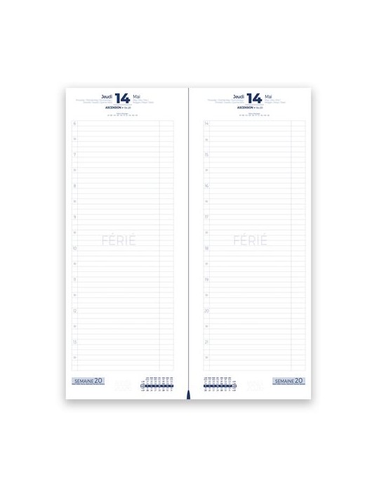 GAMME PRO INA 33 | Agenda de caisse long 2026