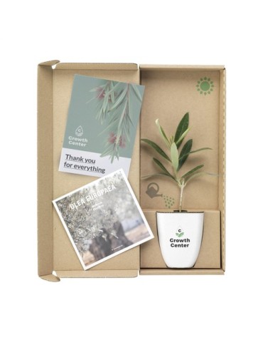 Treemore Arbres prêts-à-poster L'olivier