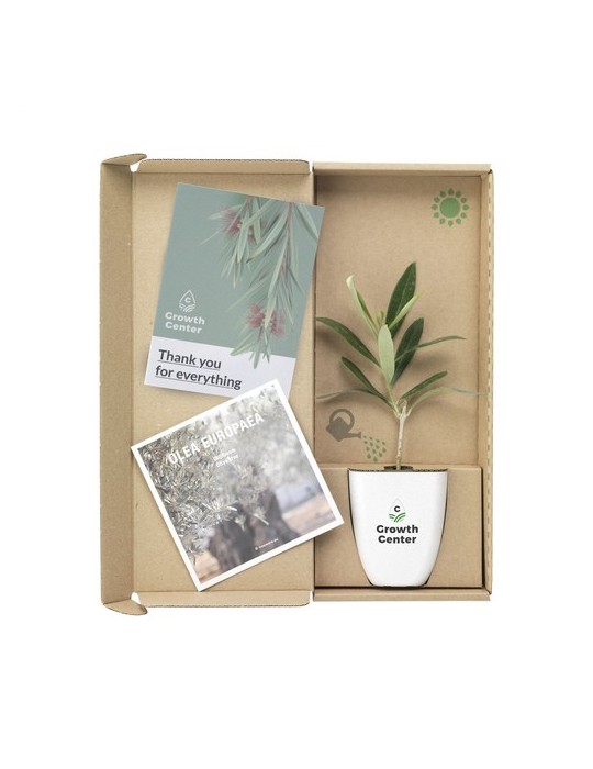 Treemore Arbres prêts-à-poster L'olivier