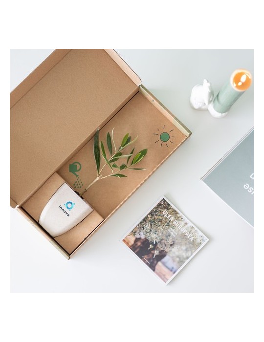 Treemore Arbres prêts-à-poster L'olivier