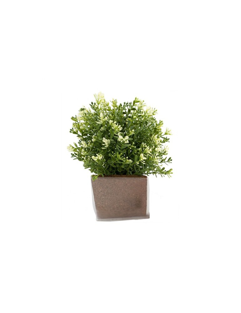 Green Seed Bags graines de fleurs