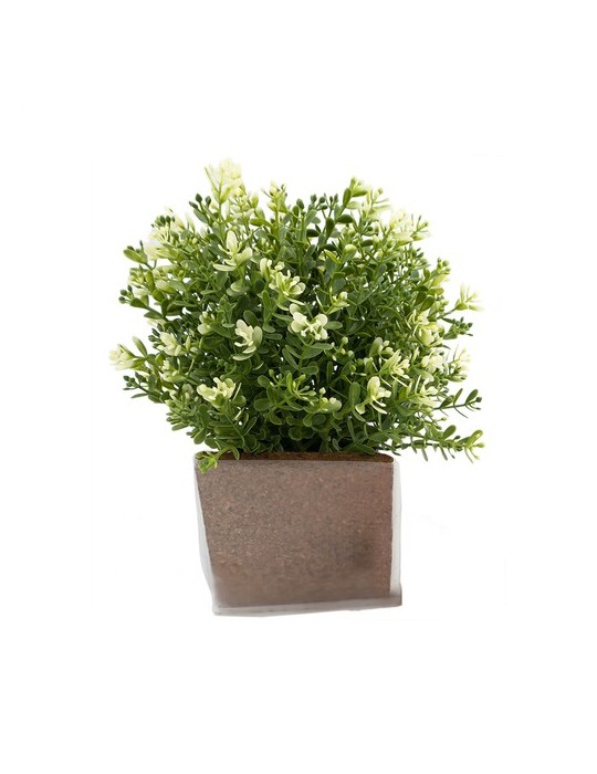 Green Seed Bags graines de fleurs