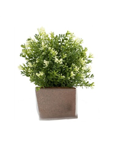 Green Seed Bags graines de fleurs 2