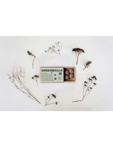 Green Balls mini-écosystème 2