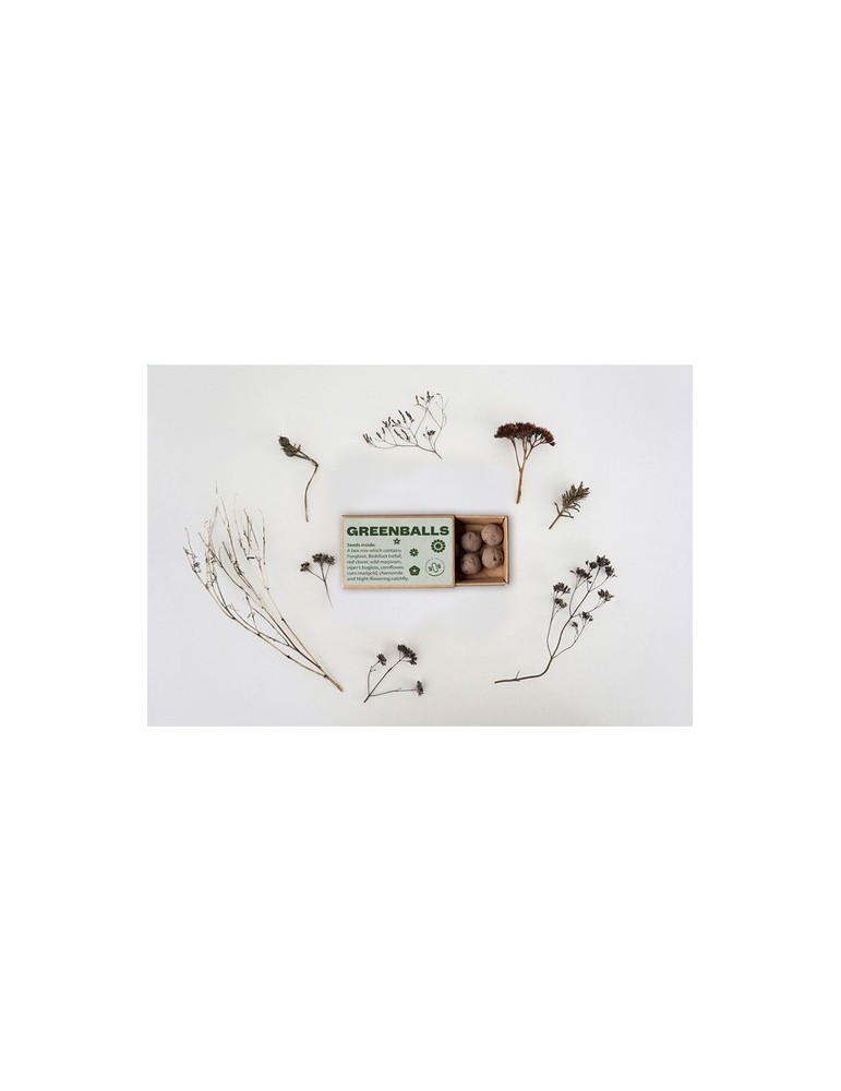 Green Balls mini-écosystème