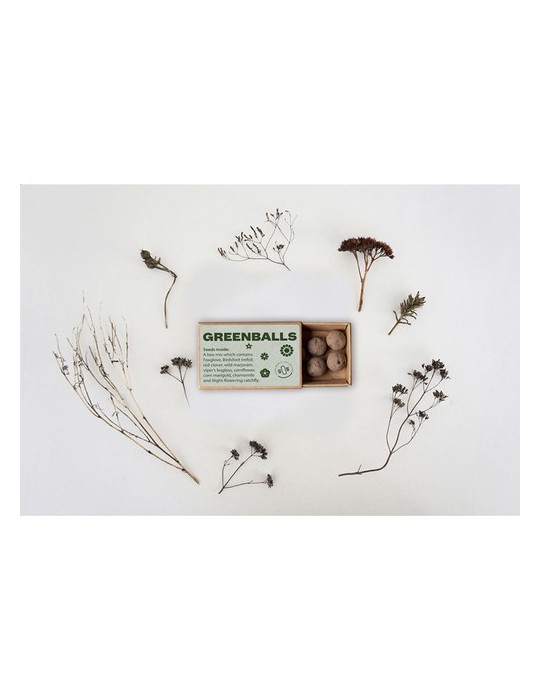 Green Balls mini-écosystème