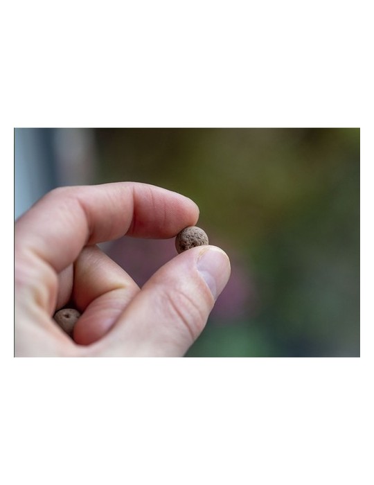 Green Balls mini-écosystème