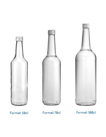 Bouteille en verre universelle 2