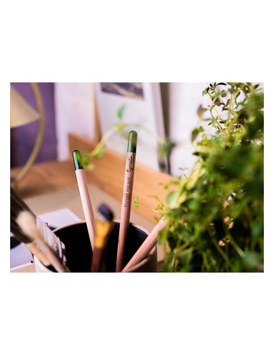 Sproutworld Unsharpened Pencil crayon non taillé