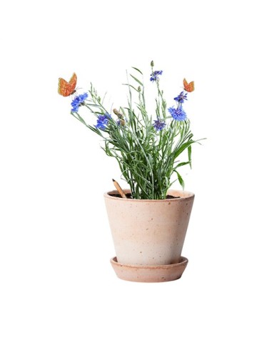 Sproutworld Unsharpened Pencil crayon non taillé 2