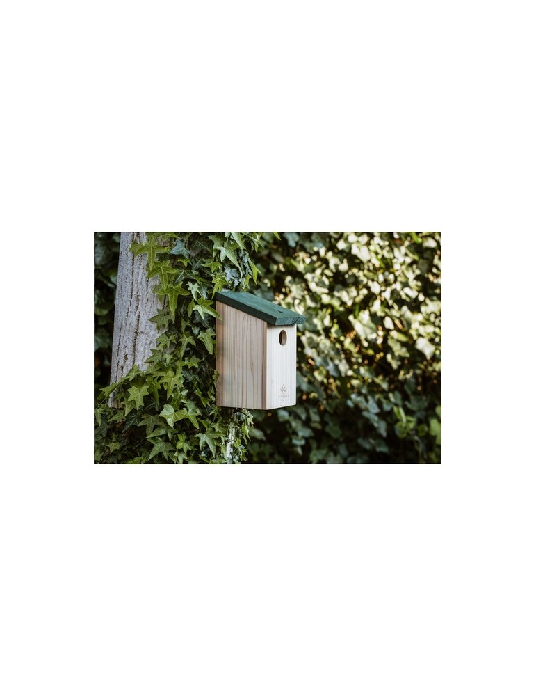 Birdhouse nichoir