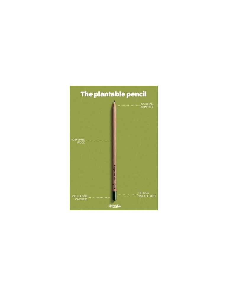 Sproutworld Sharpened Pencil crayon taillé