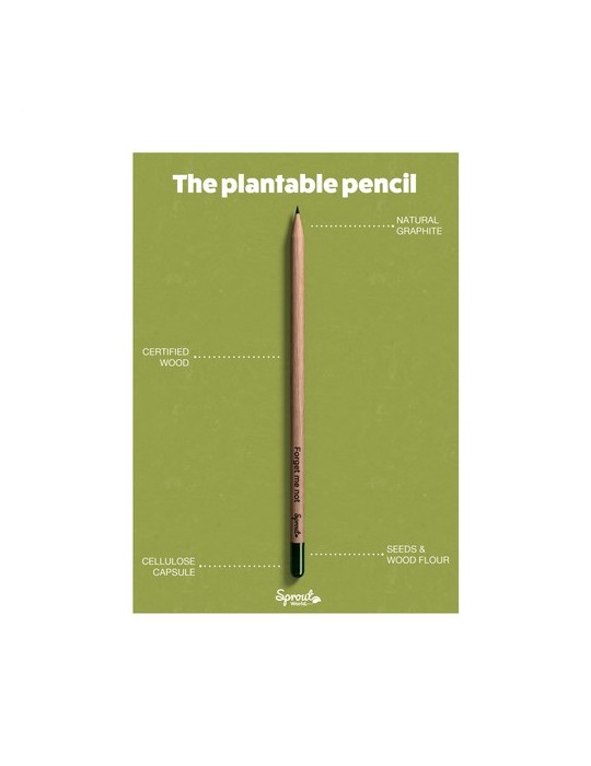 Sproutworld Sharpened Pencil crayon taillé