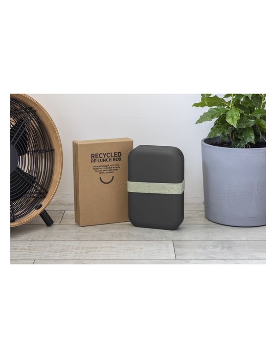 Amuse Recycled PP Lunch Box Large