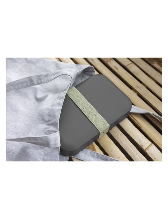 Amuse Recycled PP Lunch Box Large