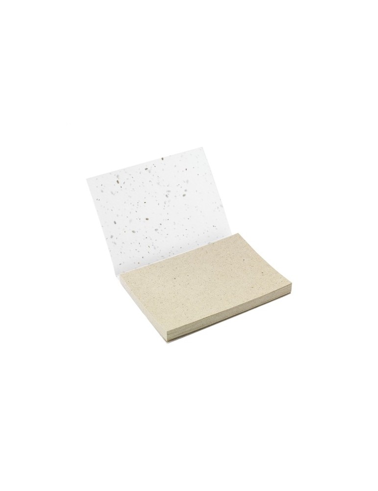Seed Paper Sticky Notes bloc-notes