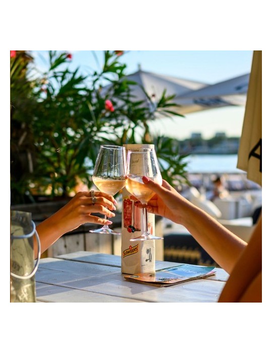 HappyGlass Lady Abigail Verre à Vin Tritan 470 ml