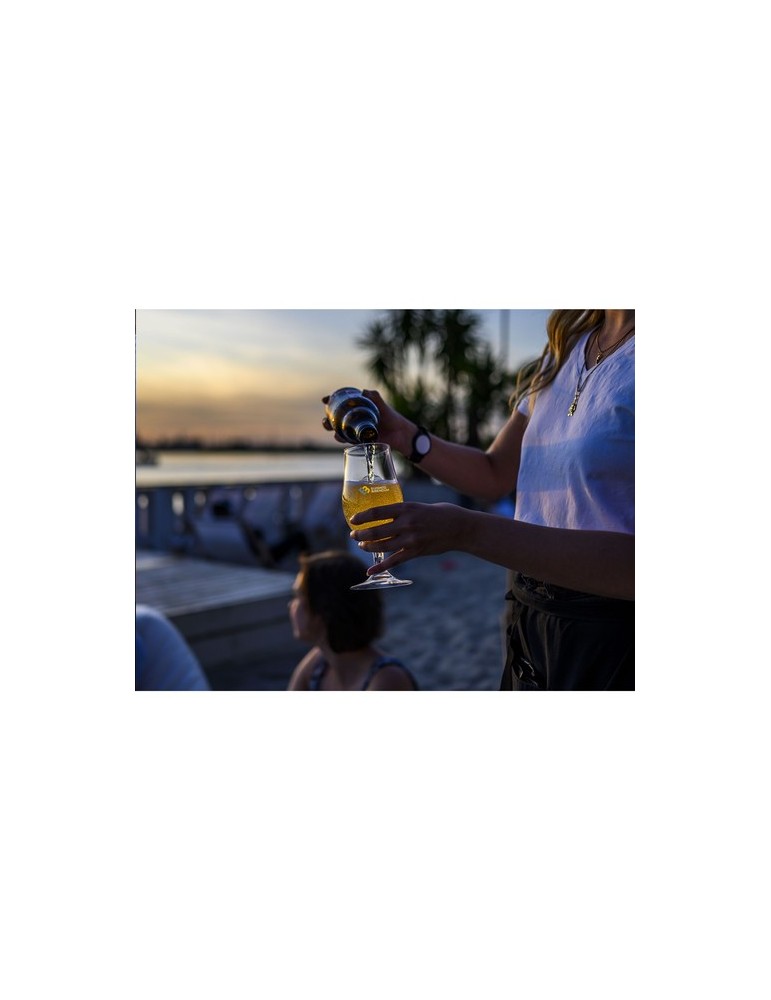 HappyGlass Mister Gustav Verre de bière Tritan 500 ml