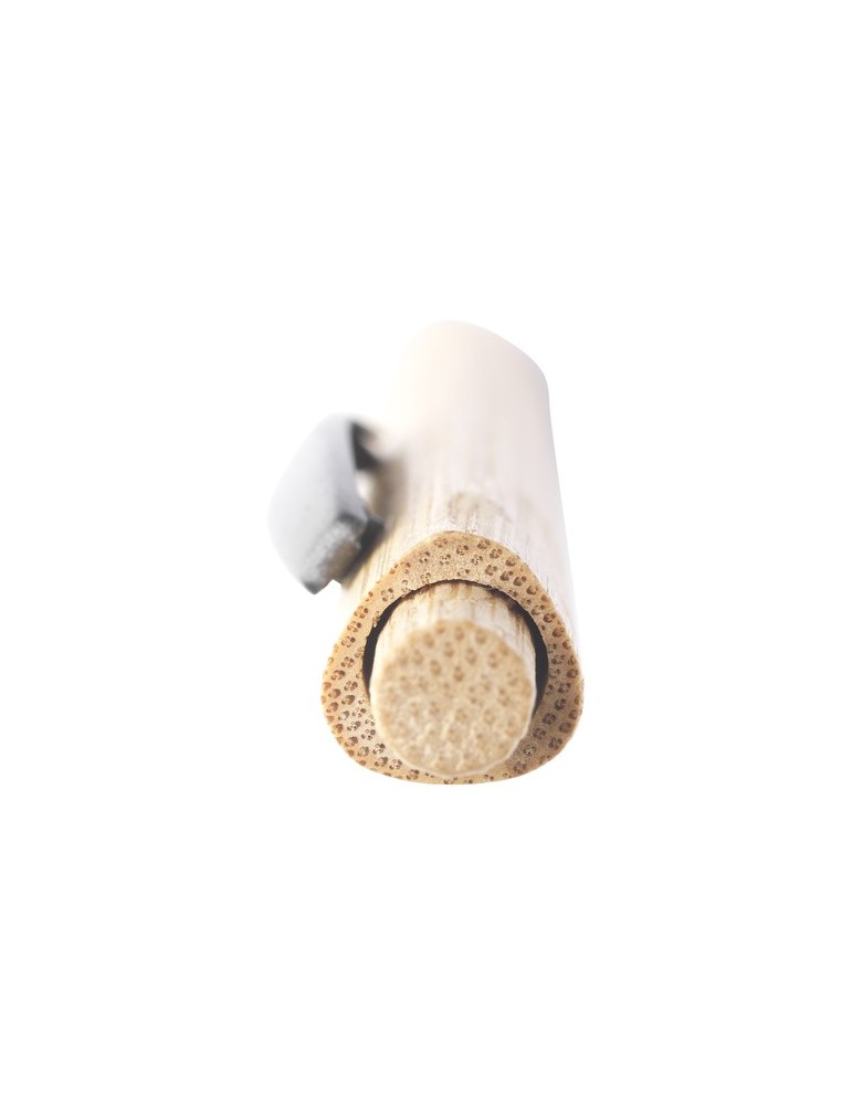 Tokai Bamboo Pen stylo