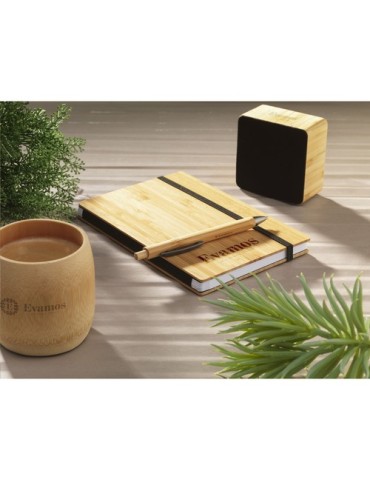 Tokai Bamboo Pen stylo 2