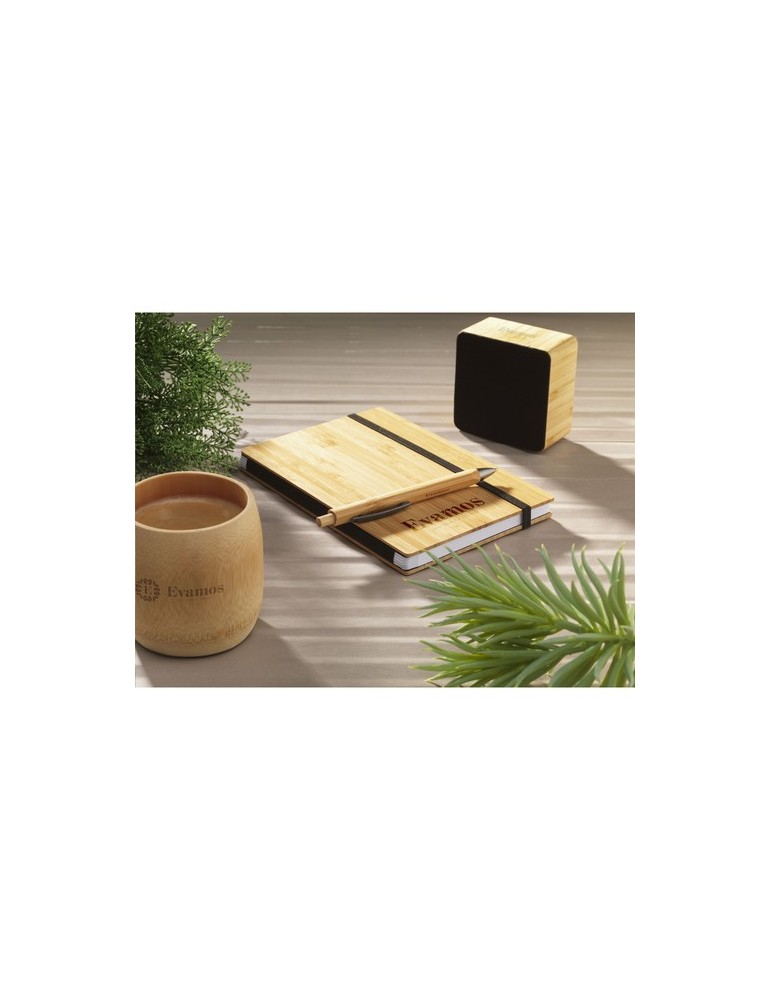 Tokai Bamboo Pen stylo