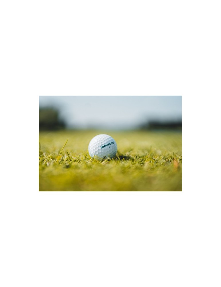 tomorrow golf Single Pack Recycled Golf Balls