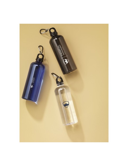 Lewis GRS RPET Bottle 630 ml bouteille