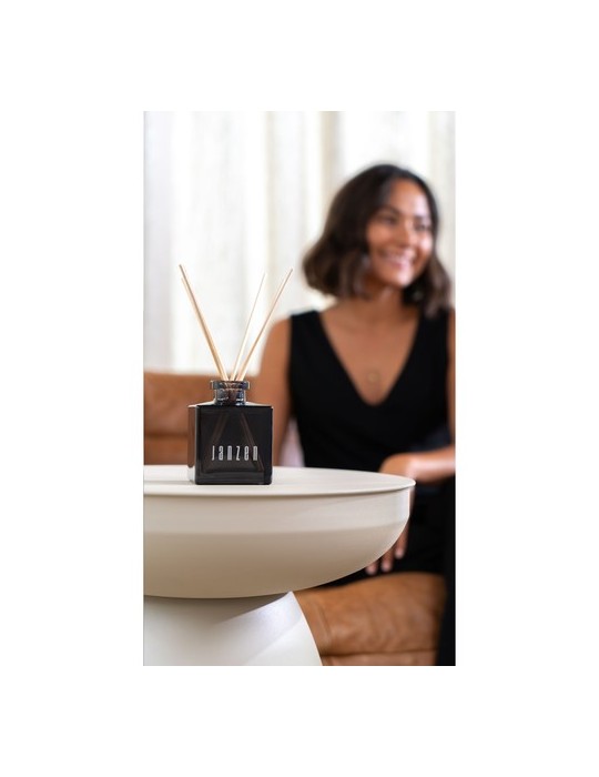Janzen Home Fragrance Sticks Skin 90