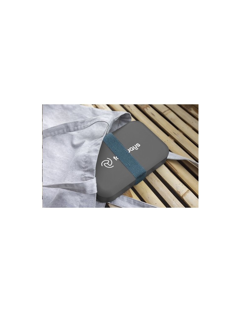 Amuse Recycled PP Lunch Box