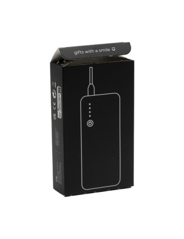 Powerbank 10000 C chargeur externe 2