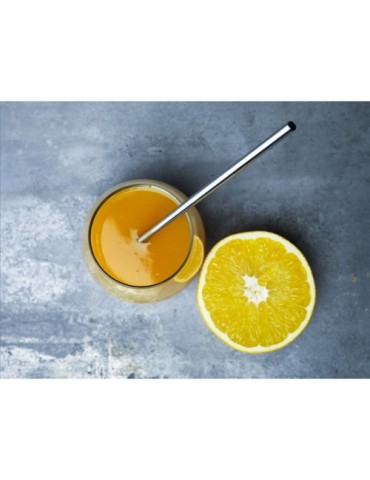 Reusable 1 piece ECO Straw Set paille acier inoxydable